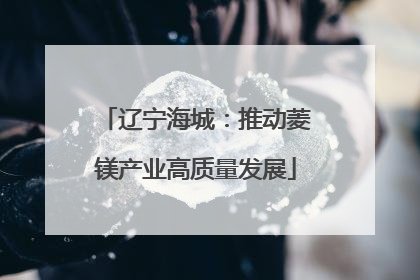 辽宁海城：推动菱镁产业高质量发展